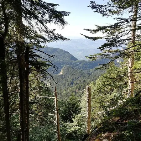 Ferme Des Deux Freres, Autrans, Vercors